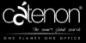 Catenon Worldwide Executive Search logo